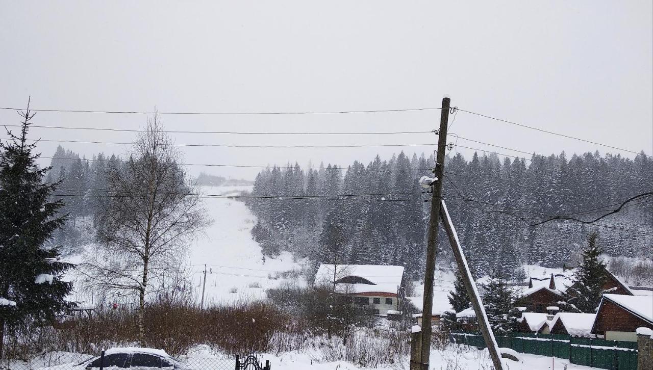 "Різьбярська Садиба" Szlavszke Kültér fotó